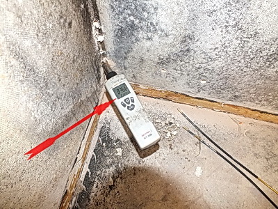 Schimmelgutachten Berlin Schimmelpilz